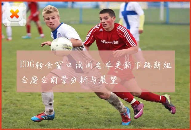 EDG转会窗口试训名单更新下路新组合磨合前景分析与展望